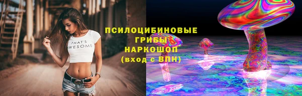 кокс Няндома