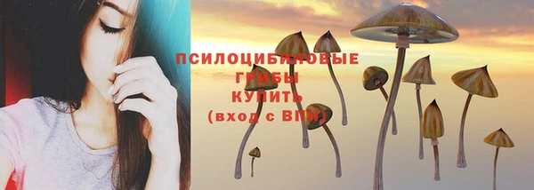 альфа пвп Нягань